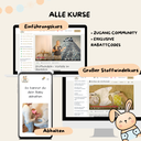 Kurs Bundle - alle drei Kurse 222€